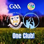 Brian Dillons GAA Club - @briandillonscorcaigh - Instagram