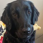 Brian Dilts - @bdilts76 - Instagram