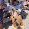 brianna dingman - @briannadingman0 - TikTok