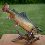 Brian Donaghy - @northeast.custom.taxidermy - Instagram