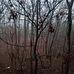Brian Donahoe - @bdonahoe10 - Instagram