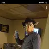 ilovecats - @briandonahoe6 - TikTok