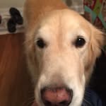 Brian Botdawg - @brianbotdorf - Instagram