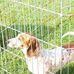 Brian Dosher - Facebook