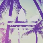 downie brian van gestel - @downie_brian_van_gestel - Instagram