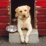Brian Doyle - @briandoyle1212 - Instagram