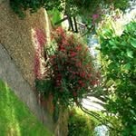 Brian Doyle - @brian.doyle.1481 - Instagram