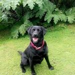 Brian Doyle - @brian.doyle.7587 - Instagram