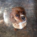 Brian Dumais - @brian.dumais.18 - Instagram