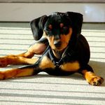 Brian Dunphy - @brian.dunphy.3939 - Instagram