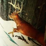 Brian Durand - @durand.brian - Instagram