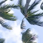 Brian Dyak - @briandyak - Instagram