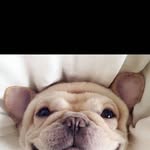 Brian Eaton - @brian.eaton.562329 - Instagram