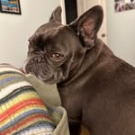 Brian Lehman - @lehman_brian - Instagram