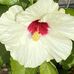 Brian Ehrhardt - Facebook