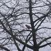 Brian Ehrhardt - Facebook