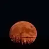 Brian Eicher - @brian.eicher7 - TikTok