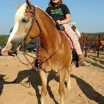 Brianna Eikenberry - @brianna_eikenberry - Instagram