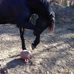 Bryan Einhorn - Facebook