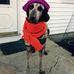 Bryan Einhorn - Facebook