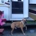 Brian Eisele - Facebook