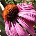 Brianna Eisenmann - @briannaeisenmann - Instagram