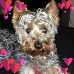 Brian Elder - @brian.elder.336 - Instagram