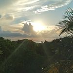 Brian Elder - @elderbrian971 - Instagram