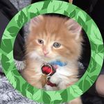 Brian Eldon Macquarrie - @brian.macquarrie - Instagram
