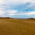Brian Ellestad - @brian_ellestad - Instagram