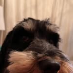 Brian Elsegood - @elsegoodbrian - Instagram