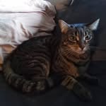 Brian Elsen - @brian.elsen21 - Instagram
