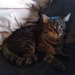Brian Elsen - @brian.elsen21 - Instagram