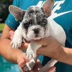 Brian_elton - @brian_elton5 - Instagram