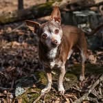 Brian Emfinger - @brianemfinger - Instagram