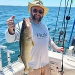 Brian Emerick - @brian.emerick.167 - Instagram