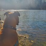Brian Emert - @bfemert - Instagram