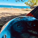 Brian Enoch - @brianenoch - Instagram