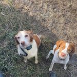 Brian Epperson - @make.me1994 - Instagram