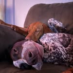 Brian Erbland - @brianerbland44 - Instagram