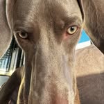 @brianerb_ - Instagram