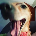 Brian Esser - @one_b_esser - Instagram