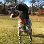 Brian Ethridge - @ethridge.brian - Instagram