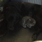 Brian Everhart - @brian_everhart11 - Instagram