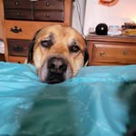 Brian Faber - @briantf63 - Instagram
