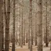Brian Faber - @brianfaber47793 - TikTok