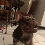 Brian Fabian - @brianfabian248 - Instagram
