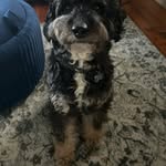 Brian Faherty - @brian_faherty - Instagram