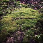 Brian Faircloth - @brian.faircloth - Instagram