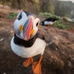 Brian Falk - @maverick_1970_ - Instagram